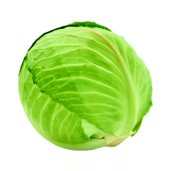 CHOU BLANC 10 KG BELGIQUE