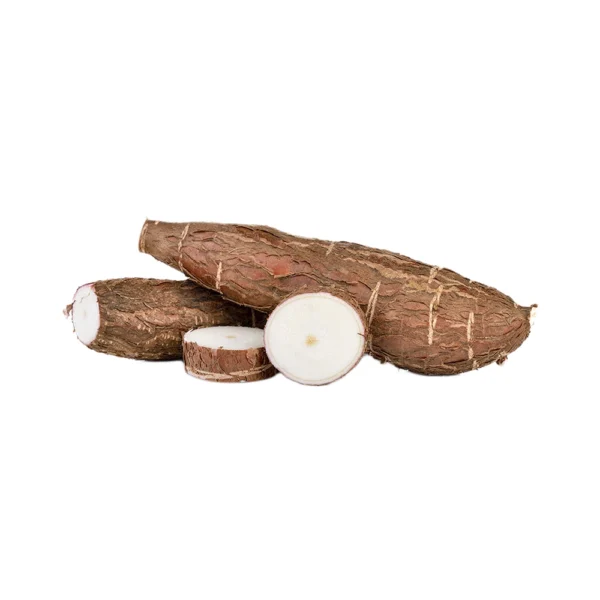 MANIOC 18KG COSTA RICA INFINITY